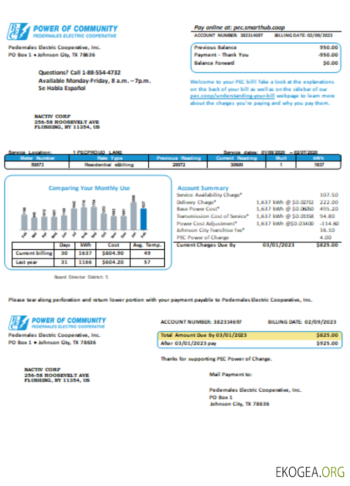 Facture commerciale du service public d'électricité Texas Power of Community, SCR